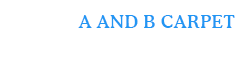 A and B Carpet Cleaners - brooklyn
