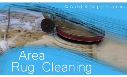 Area Rug Cleaning - Brooklyn