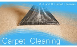 Carpet Cleaning - Brooklyn